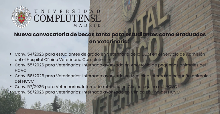 Oferta de nuevas becas
